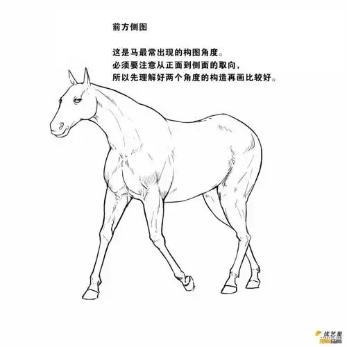 马的简单画法用线条绘画马的简单绘画教程绘画马的漫画素材教程