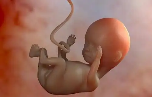 原创如何在家听胎心准确掌握位置次数一文教你了解胎心监测收藏