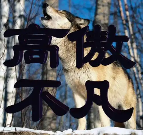 谁能给制作一个图片,图片里是高傲不凡.