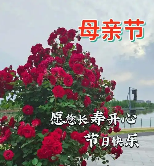 带字祝福,感恩母亲祝福暖心问候祝福语大全|快乐|早安|大海|幸福|母爱