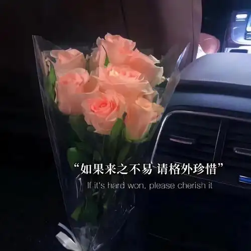 抖音最火背景图片 抖音最火2021背景图片-诚智百科网