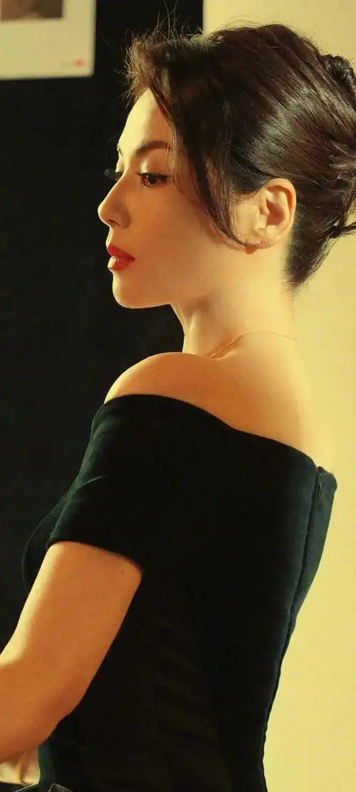 美女系列壁纸第69期-刘涛