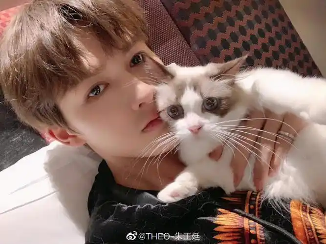 朱正廷温柔贝贝