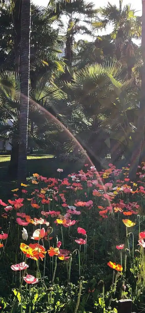 壁纸简约高级ios锁屏壁纸