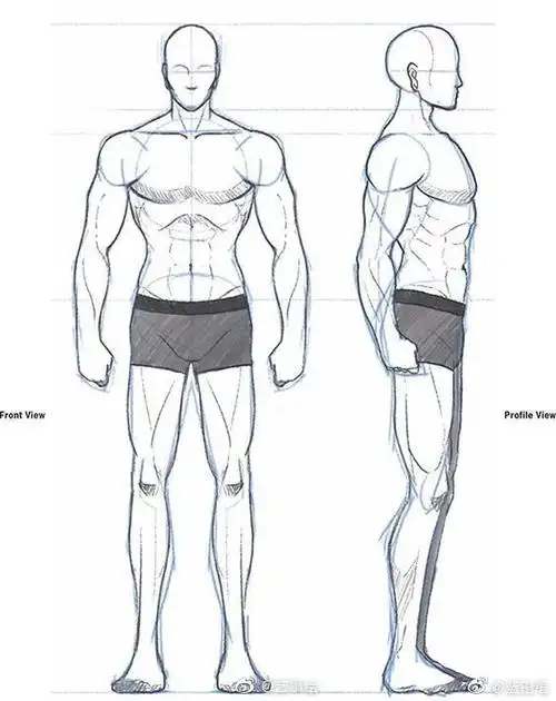 晚间分享#人体肌肉绘画素材 ︱ 男性肌肉你了解多少#人物速写##速写