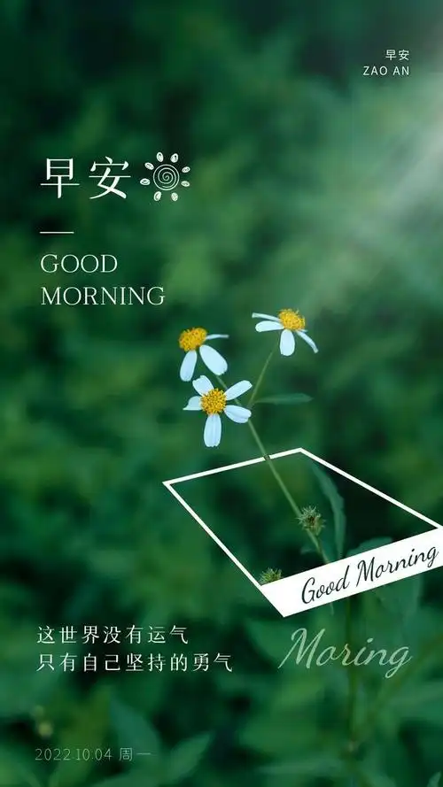 早安心语励志图片带字:这世界没有运气,只有自己坚持的勇气
