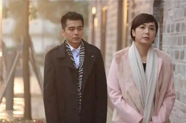 许亚军和蒋雯丽演的电视剧有哪些介绍 守婚如玉揭露现实