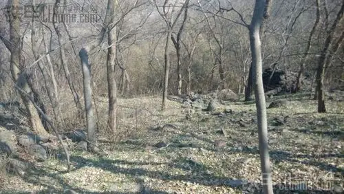 苦啊,荒山野岭的