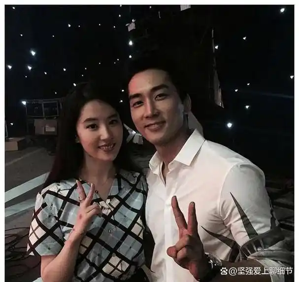 刘亦菲唯一公开过的男友韩国帅哥宋承宪,你们看看帅不帅?