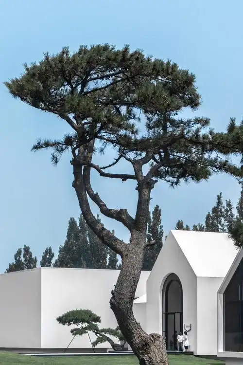 北京松美术馆|摄影|环境/建筑摄影|yellow21_原创作品-站酷zcool