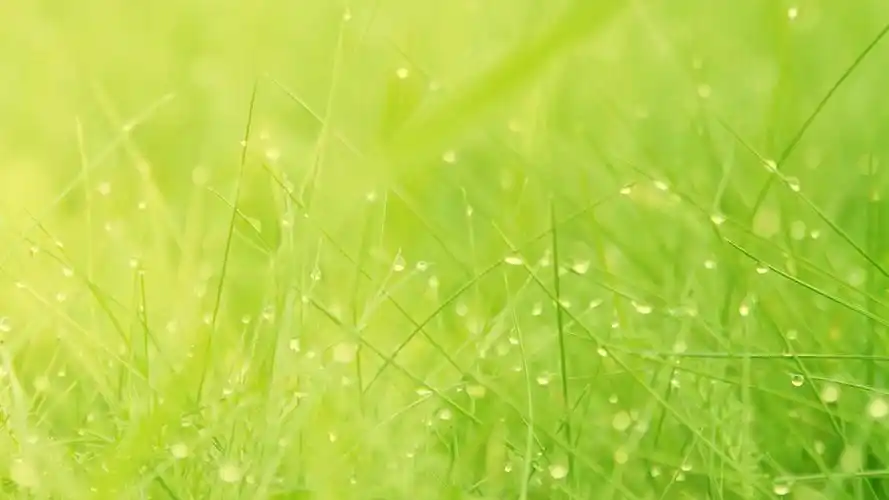 精选清新绿色护眼自然风景蓝天草地唯美桌面壁纸图片高清下载5p