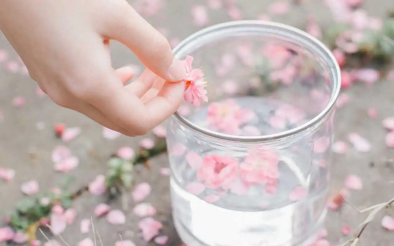 小清新唯美静物图片桌面壁纸