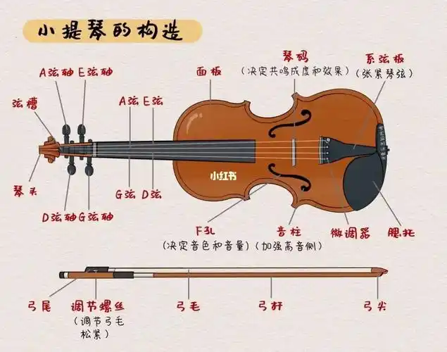 小提琴的干货分享