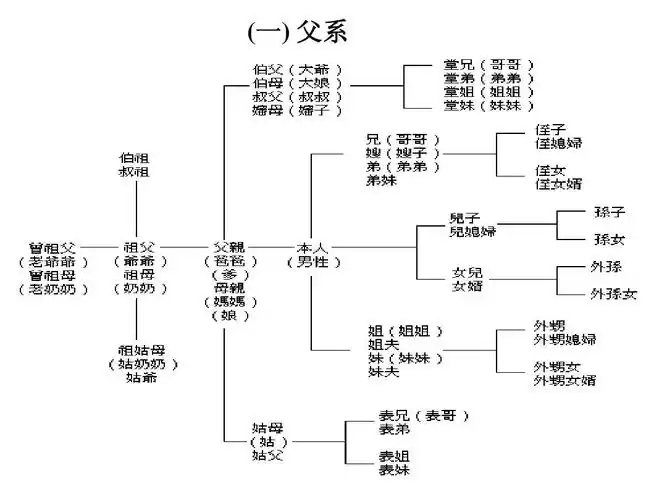 亲戚关系称呼表ppt