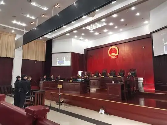 该案是大熊猫国家公园成都片区法庭挂牌成立后首例集中管辖的刑事附带