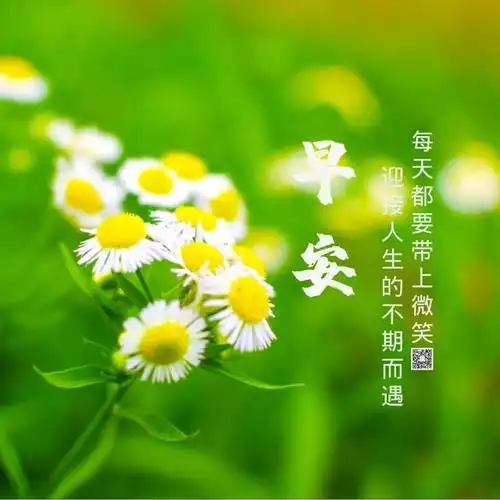 2021年早上好短语2021年早安问候语