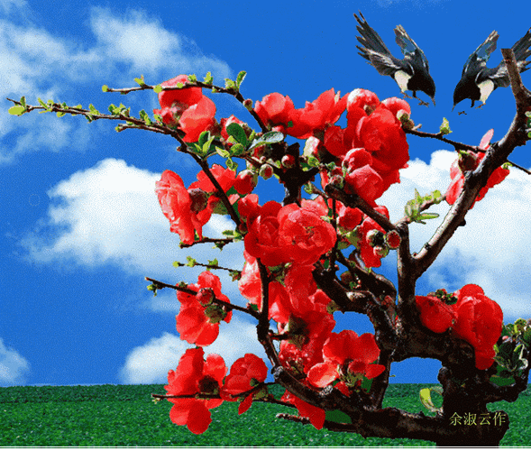 660_560gif 动态图 动图