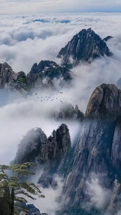 一不小心误入仙境,这里真的人间仙境