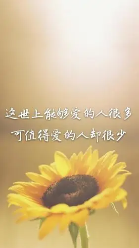 美文欣赏我不需要多么完美的爱情我只需要有一个人永远不会放弃我