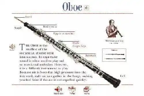 双簧管和单簧管总是傻傻分不清双簧管手不仅要当好的演奏家更要当好的