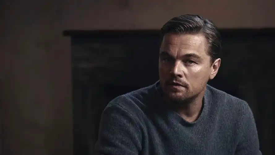 莱昂纳多·迪卡普里奥第88届奥斯卡金像奖主题壁纸