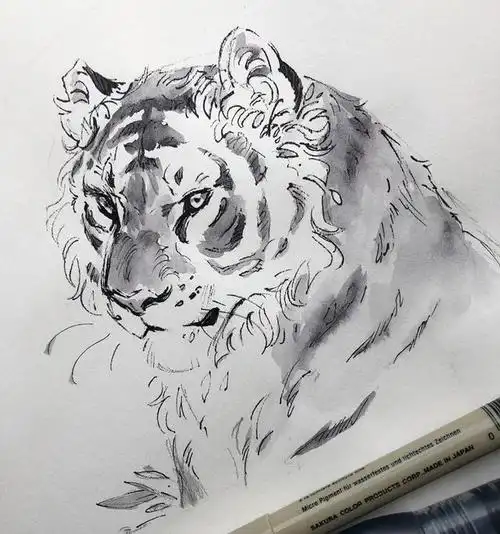 动物黑白手绘 简单几笔 神韵形态一览无余