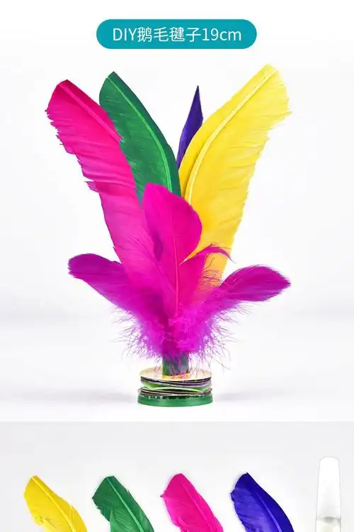 毽子儿童小学生毽球耐踢幼儿园女羽毛腱子运动比赛专用鸡鹅毛键子哈