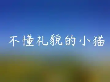 不懂礼貌的小猫