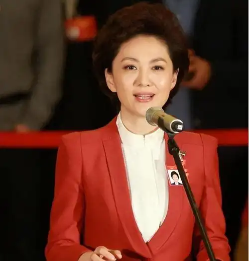 回顾央视主持人海霞:把舞台交给年轻人,51岁满头白发仍端庄优雅