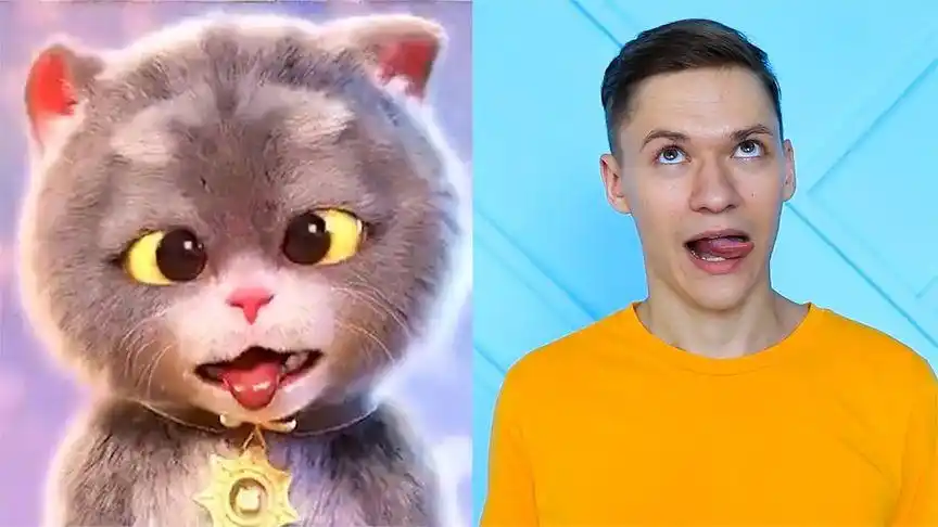 搞笑模仿秀:男孩模仿小猫咪的动作表情,谁学的最像?
