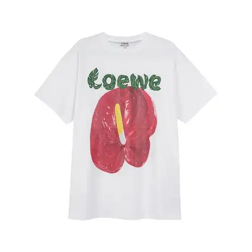 罗意威loewe女士棉质圆领短袖t恤s540y22x28视频