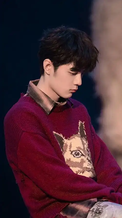 肖战##肖战专辑我们