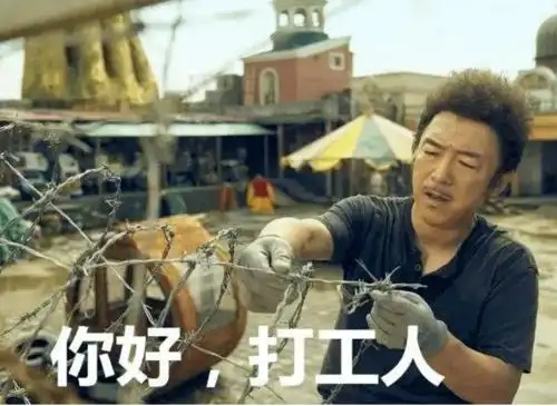 总之都是打工人不管你是"定金人","尾款人"一夜之间火遍全网"打工人"