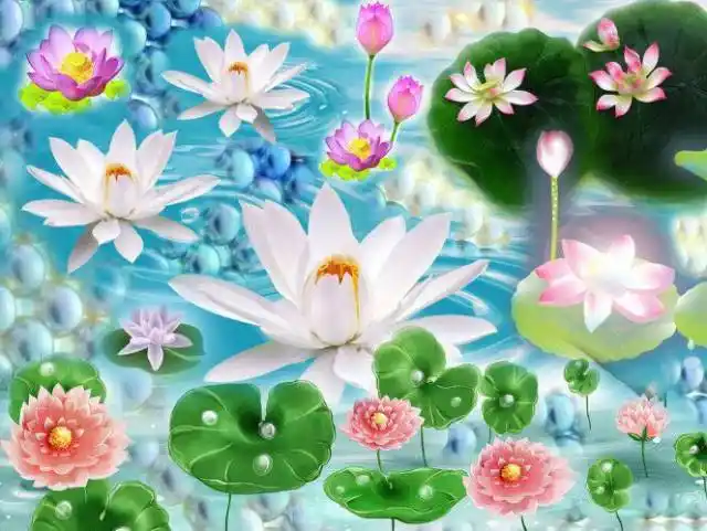 他方世界若有一人念佛,七宝池中就会长出一朵莲花,其人往生极乐后