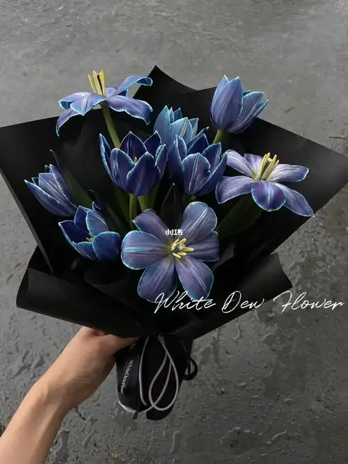 新加坡花店 | 蓝紫色郁金香谁会不爱呢