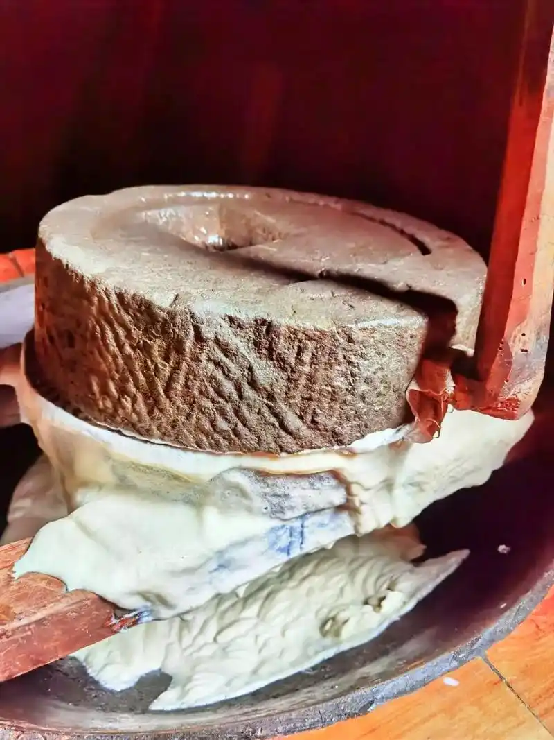 今天回娘家,大姐做手工石磨豆腐,我先干三碗豆浆为敬. - 抖音