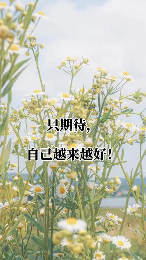 只期待自己越来越好