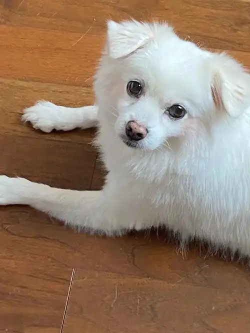 给弟弟画腮红后续好像天生白里透红