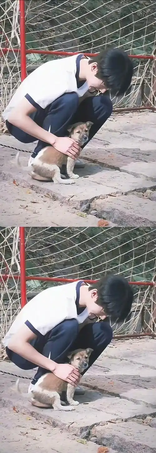 翟潇闻拍的周柯宇