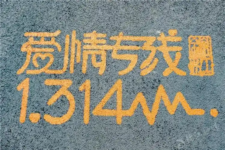 314爱情专线" 情定一生一世 推荐指数★★★★★ love  love  love 踏