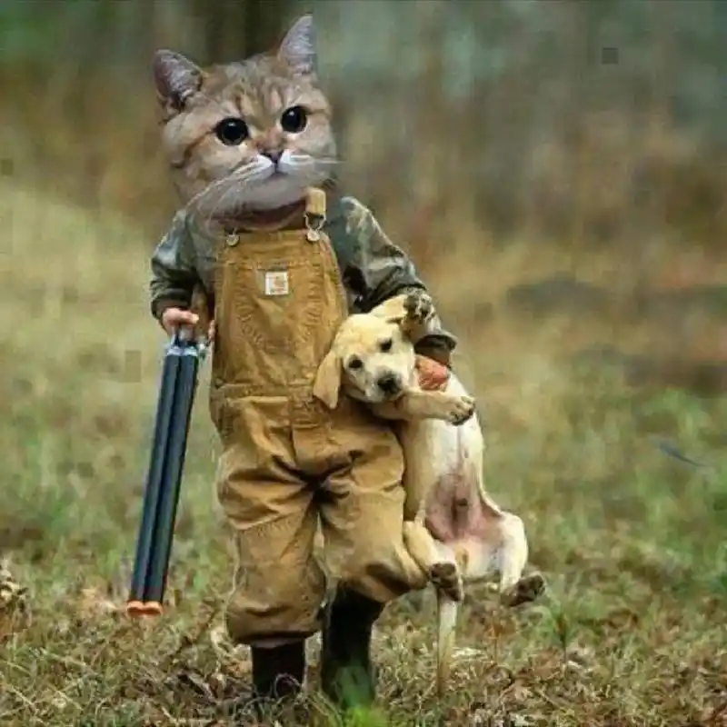 大佬头像,动物头像 - 抖音