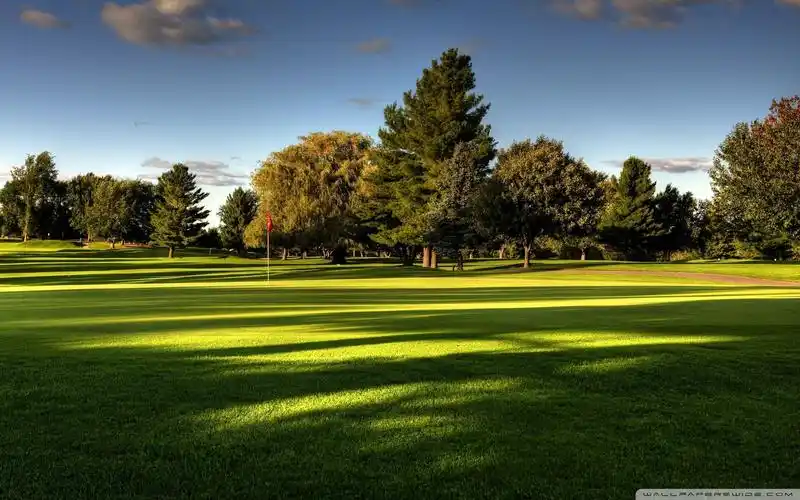 精选美丽草原风景绿色护眼图片高清壁纸宽屏下载3 _ 图片网