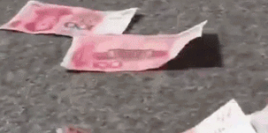 319_159gif 动态图 动图