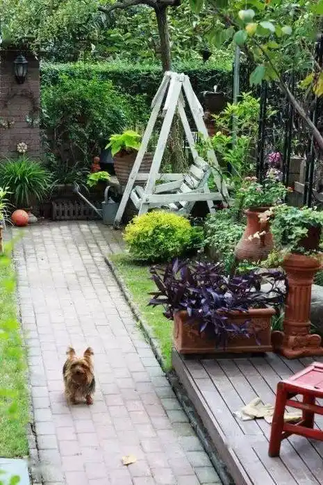 这样的农家小院有诗与酒有花有茶是否你也喜欢?