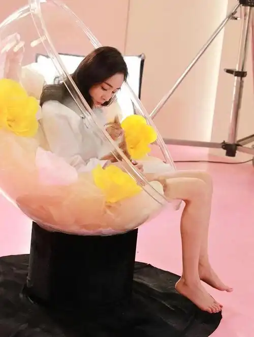 在娱乐圈的璀璨星空中,杨幂以其出色的演技,独特的魅力和不懈的努力