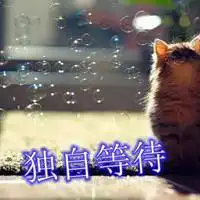 等待一个人的伤感图片表达真心默默等待一个人带字图片独自等待