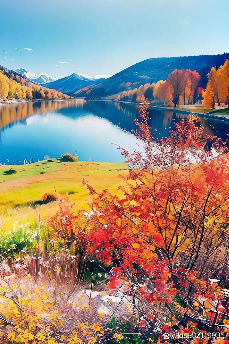 99秋天的童话,美到窒息!这幅自然风景画让我感受到了大自然的魅力.