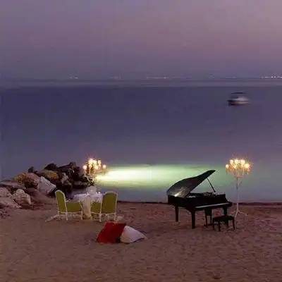 2021清新高雅有气质女神味背景图片 星河长明春暖花开