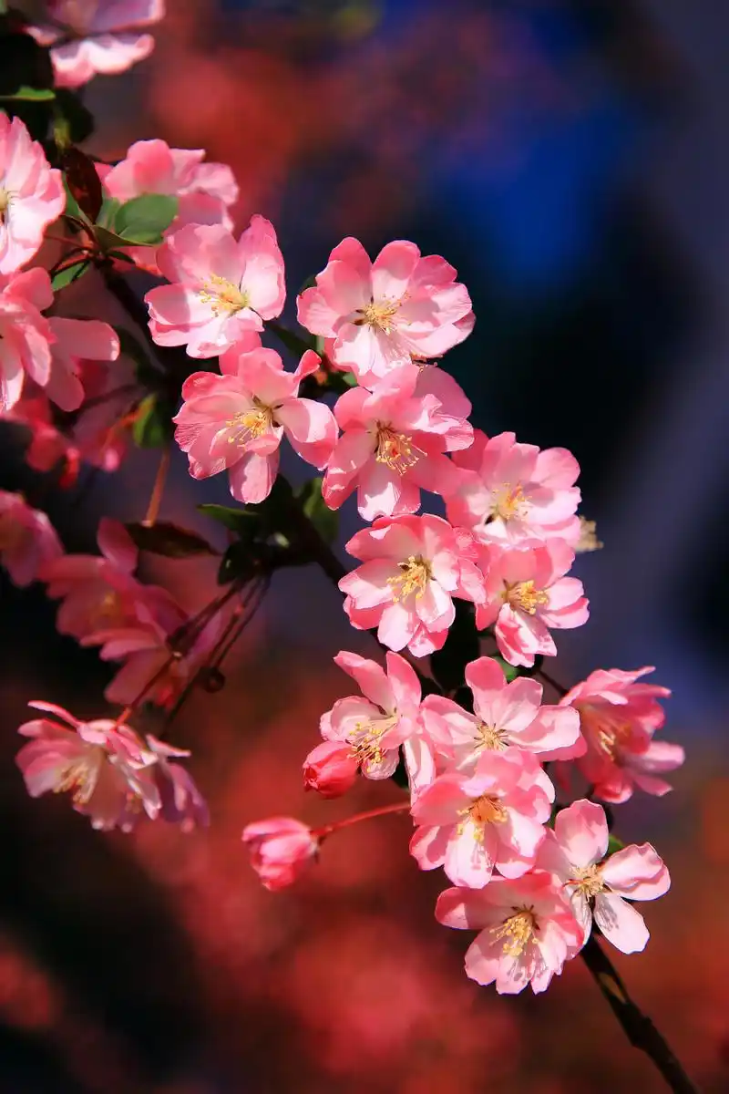 853_1280竖版 竖屏