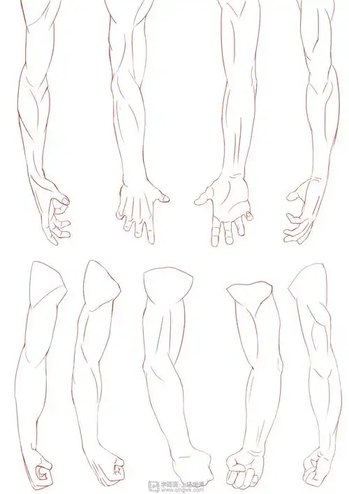 作业:如何学动漫插画之手臂的画法与训练技巧 - 浅夏rh-23-161